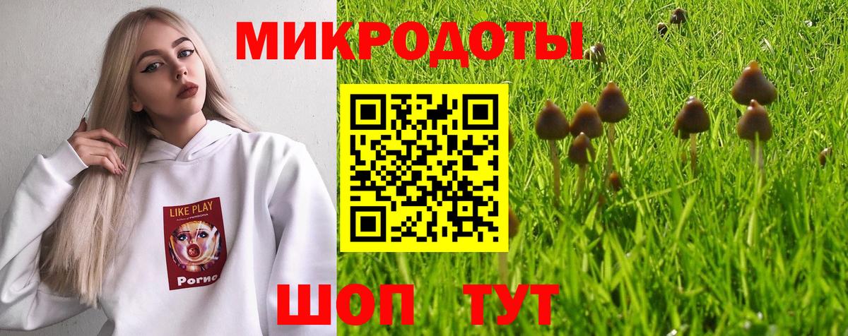 как найти наркотики  Псилоцибиновые грибы мухоморы  Серов  Вход с VPN  Галлюциногенные грибы мухоморы 